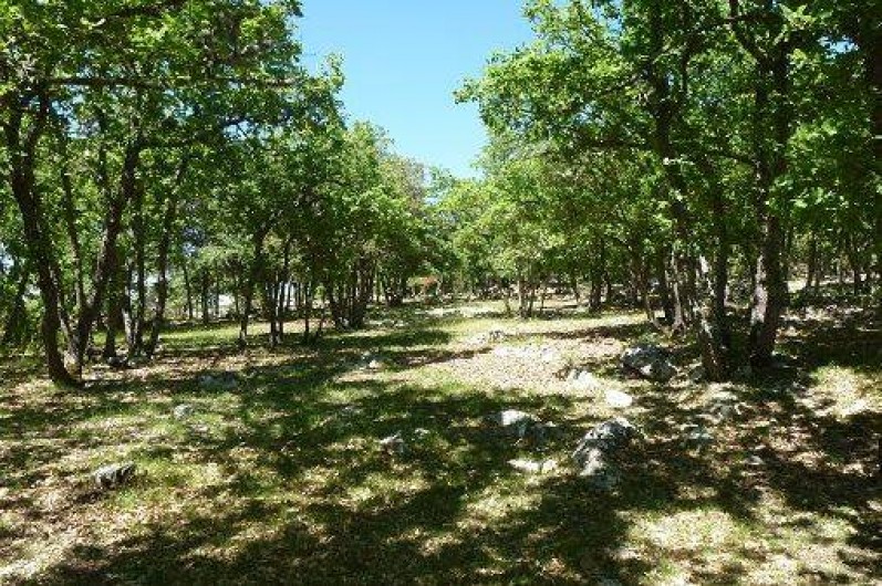 Location de vacances - Villa à La Verdiere - fond du terrain