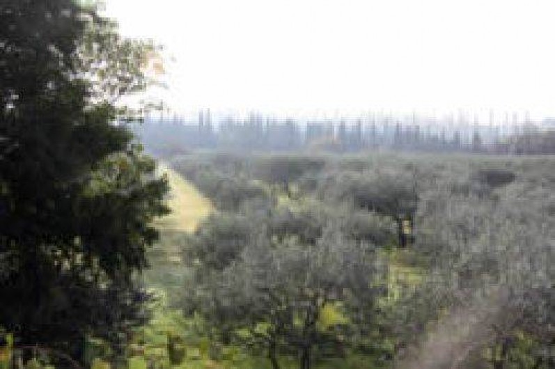 Location de vacances - Gîte à Tarascon