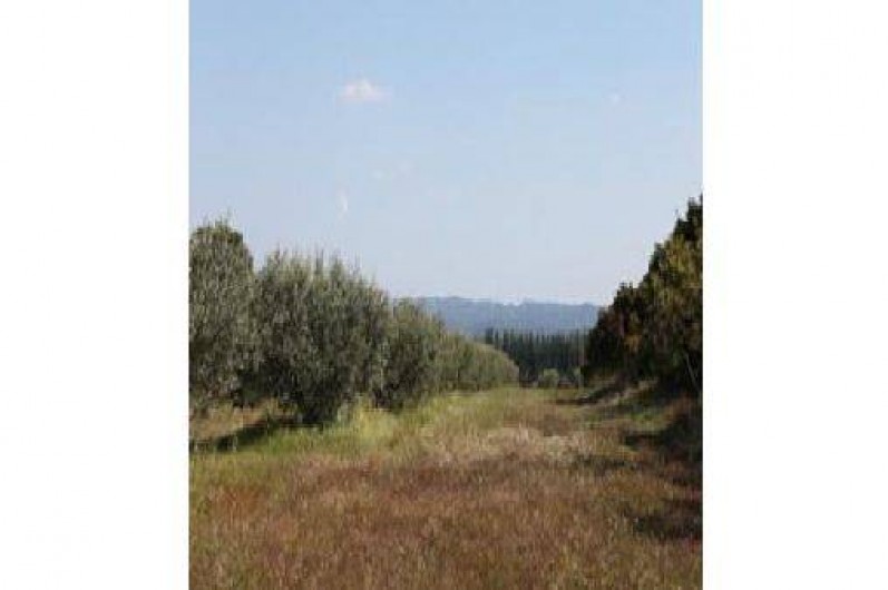 Location de vacances - Gîte à Tarascon