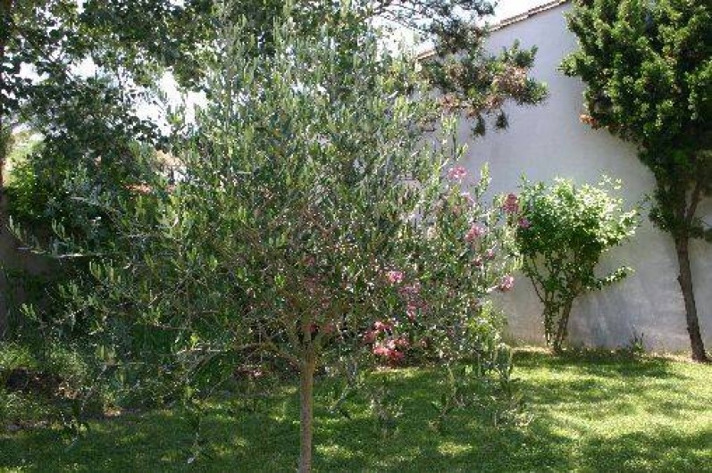 Location de vacances - Villa à La Couarde-sur-Mer