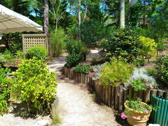 Location de vacances - Chambre d'hôtes à Lacanau - Vue sur jardin depuis la terrasse