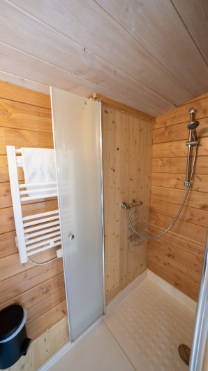 Location de vacances - Bateau à Chassenard - Salle de Bain