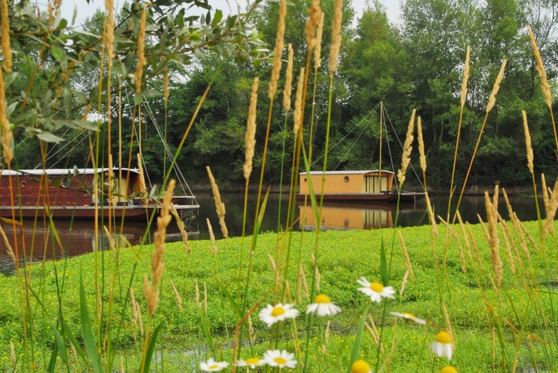 Location de vacances - Bateau à Chassenard - Toues cabanées accessibles en barque sur l'étang des Demoiselles
