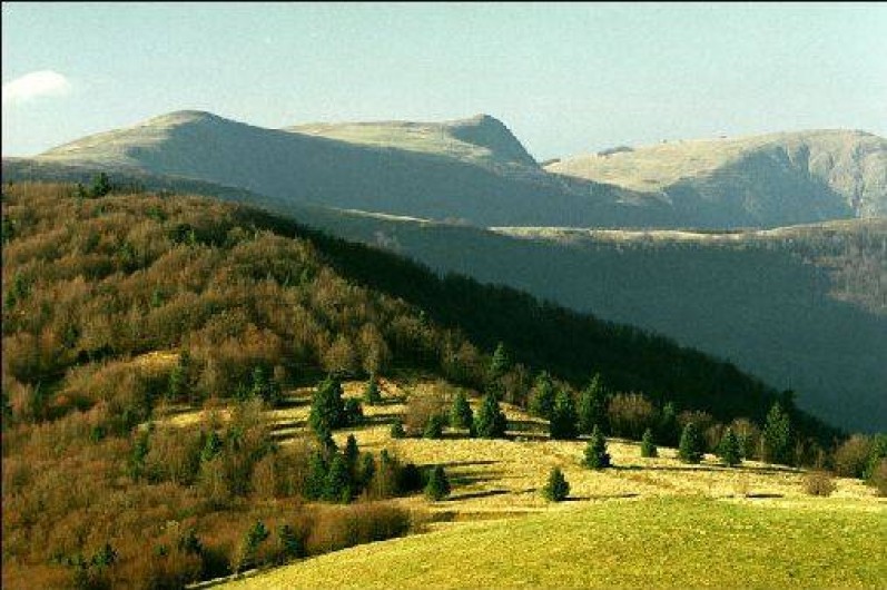 Location de vacances - Chambre d'hôtes à Sondernach