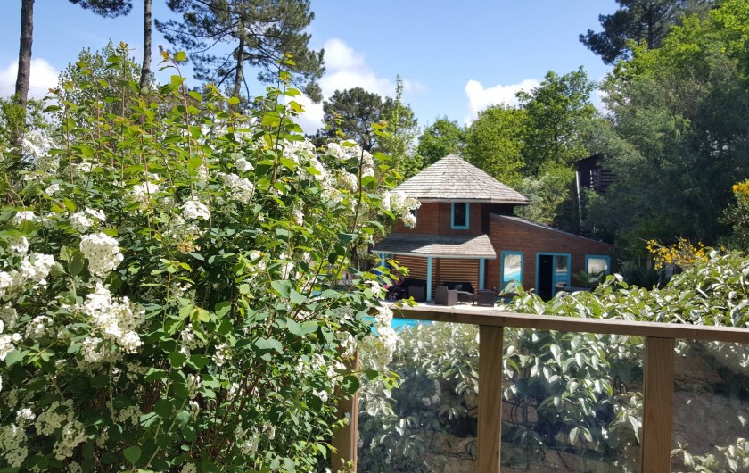 Location de vacances - Chalet à Messanges - Gite