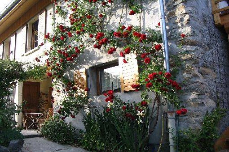 Location de vacances - Appartement à Vinzier