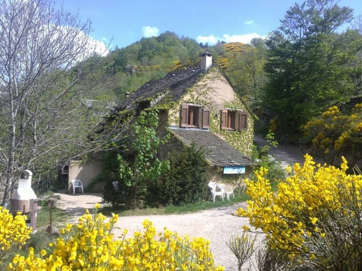 Location de vacances - Gîte à Le Pont-de-Montvert - gites au Printemps