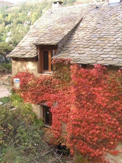 Location de vacances - Gîte à Le Pont-de-Montvert - gites en Automne