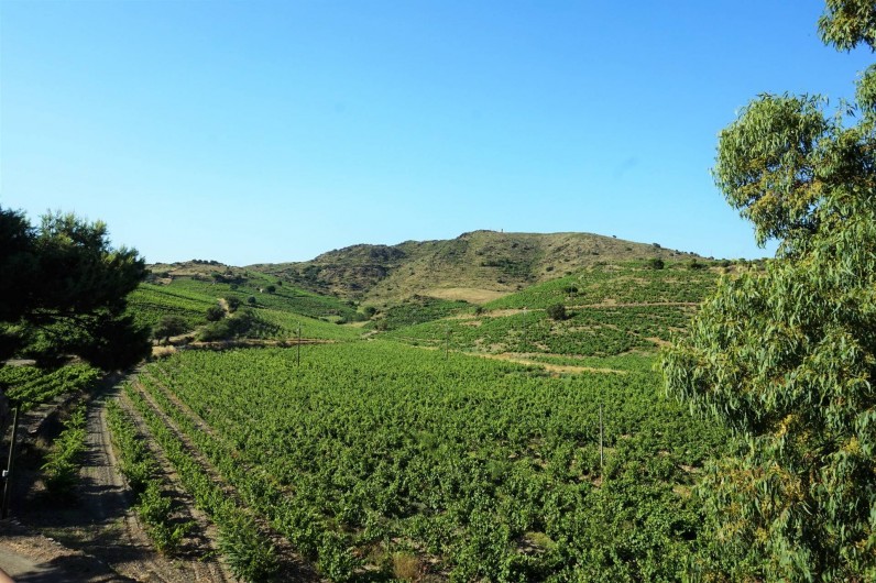 Location de vacances - Gîte à Port-Vendres