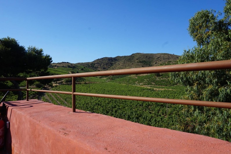 Location de vacances - Gîte à Port-Vendres