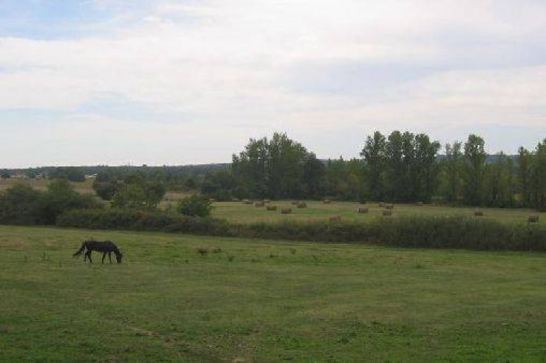 Location de vacances - Villa à Castelnau-d'Estrétefonds