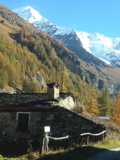 Location de vacances - Appartement à Peisey-Nancroix - Les Lanches