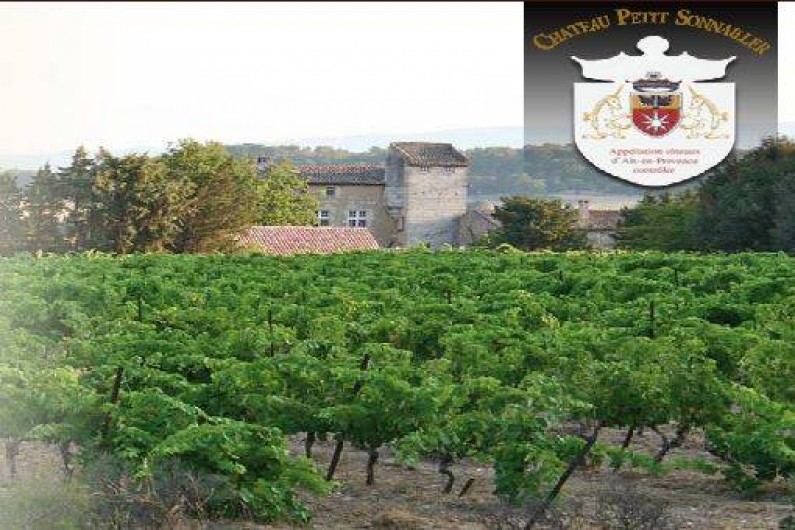 Location de vacances - Chambre d'hôtes à Aurons