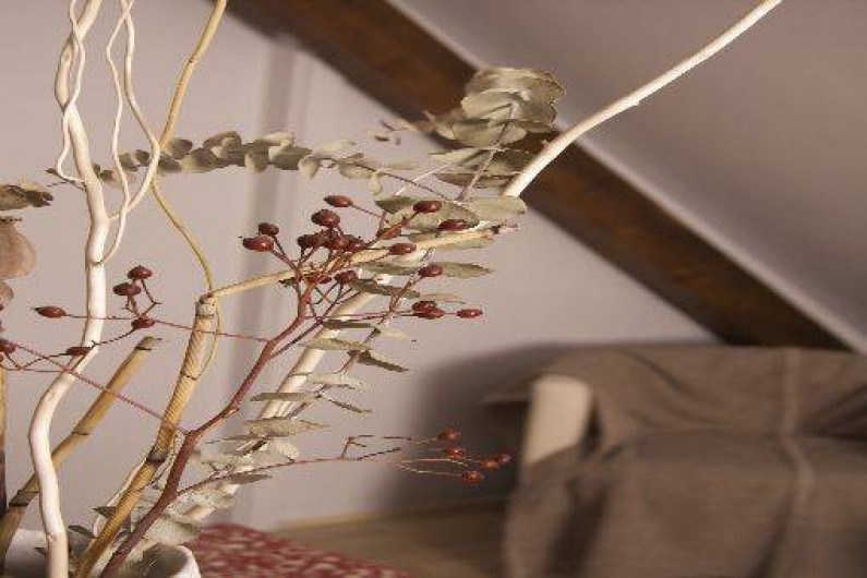 Location de vacances - Gîte à Sélestat