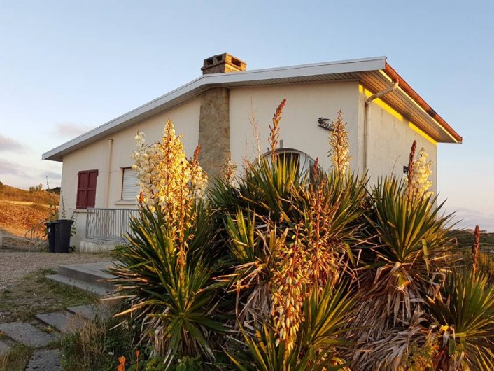 Location de vacances - Villa à Stella Plage