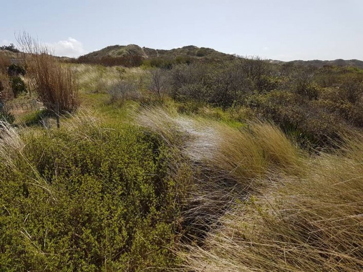 Location de vacances - Villa à Stella Plage