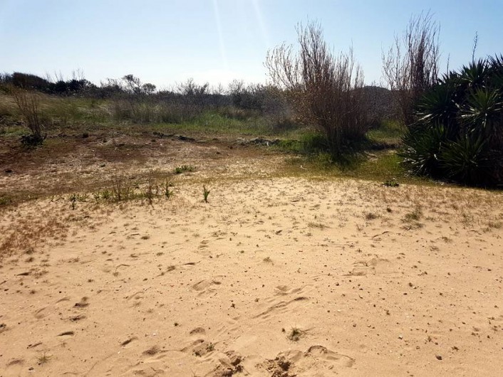 Location de vacances - Villa à Stella Plage