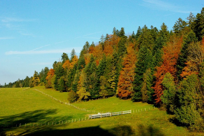 Location de vacances - Gîte à Les Nans