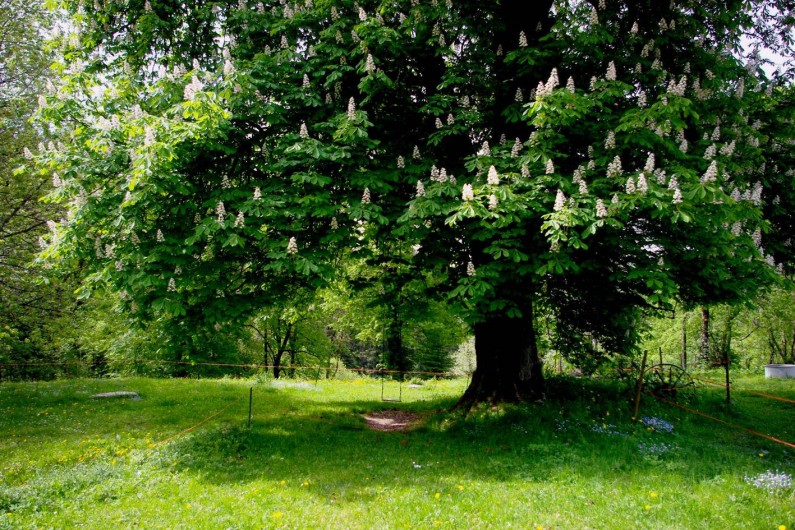 Location de vacances - Gîte à Les Nans - Au jardin.