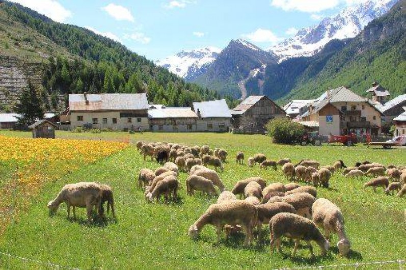 Location de vacances - Appartement à Ceillac