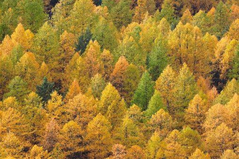 Location de vacances - Appartement à Ceillac