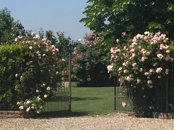 Location de vacances - Chambre d'hôtes à Bibbiano