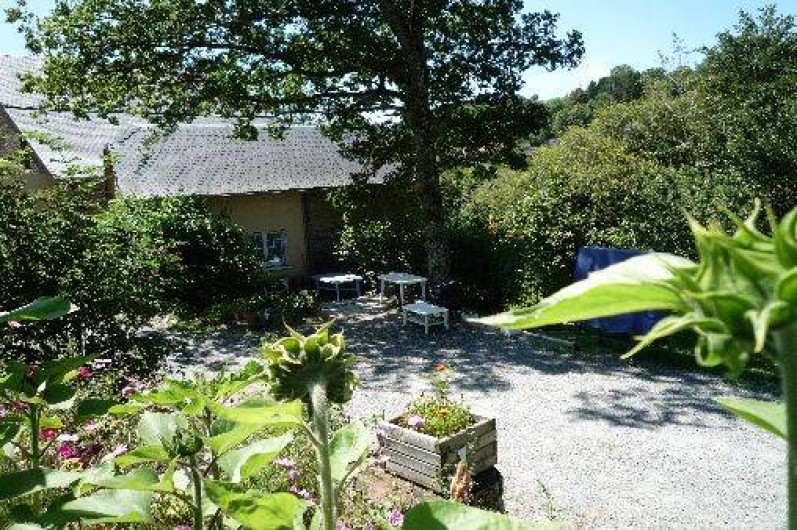 Location de vacances - Moulin à Salles-Curan