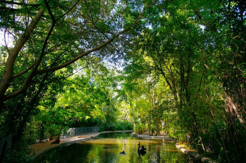 Location de vacances - Maison - Villa à Pézenas - Pézenas le parc "Sans Souci"