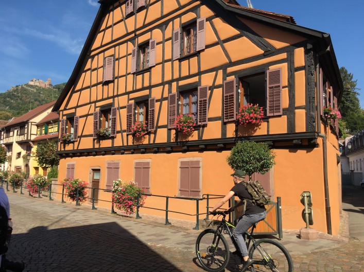 Location de vacances - Gîte à Ribeauville - Ribeauvillé: Perle du Vignoble de l’Alsace
