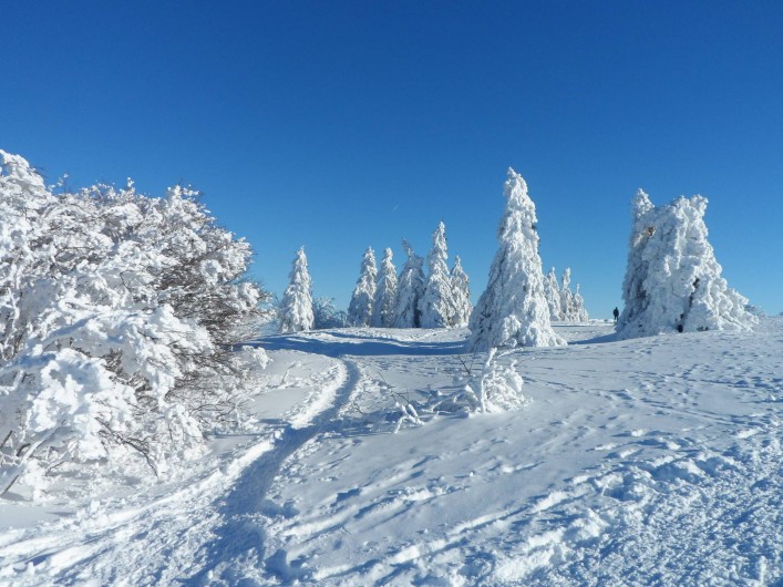 Location de vacances - Chalet à Basse-sur-le-Rupt - Paysage des crêtes Vosgiennes figé dans la neige
