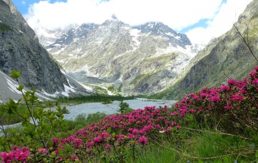 Location de vacances - Appartement à Puy-Saint-Vincent