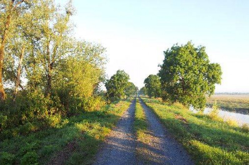 Location de vacances - Gîte à Chaillé-les-Marais