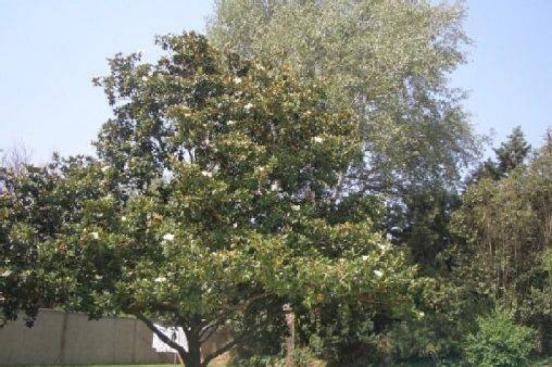 Location de vacances - Villa à Roquebrune-sur-Argens