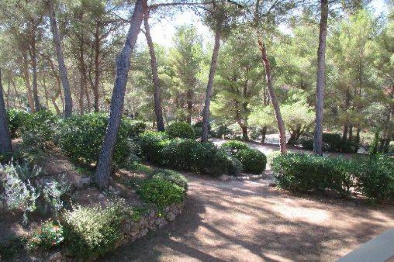 Location de vacances - Appartement à Sanary-sur-Mer