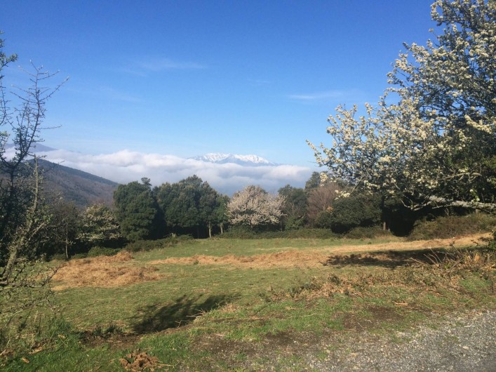 Location de vacances - Appartement à L'Albère - Le salon