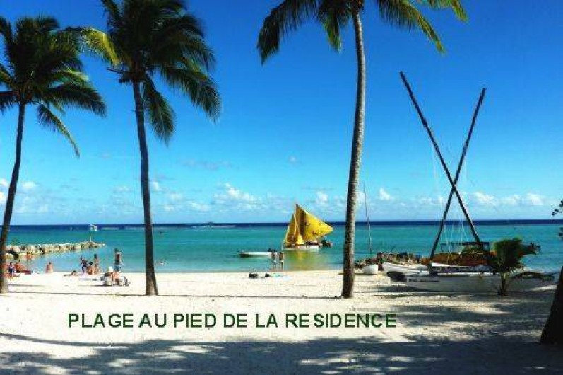 Location de vacances - Studio à Saint-François