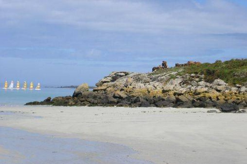 Location de vacances - Gîte à Landunvez