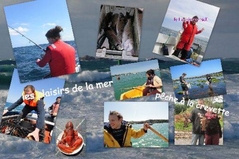 Location de vacances - Gîte à Landunvez