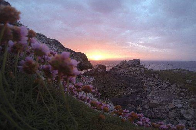 Location de vacances - Gîte à Landunvez