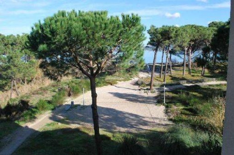 Location de vacances - Appartement à Calvi