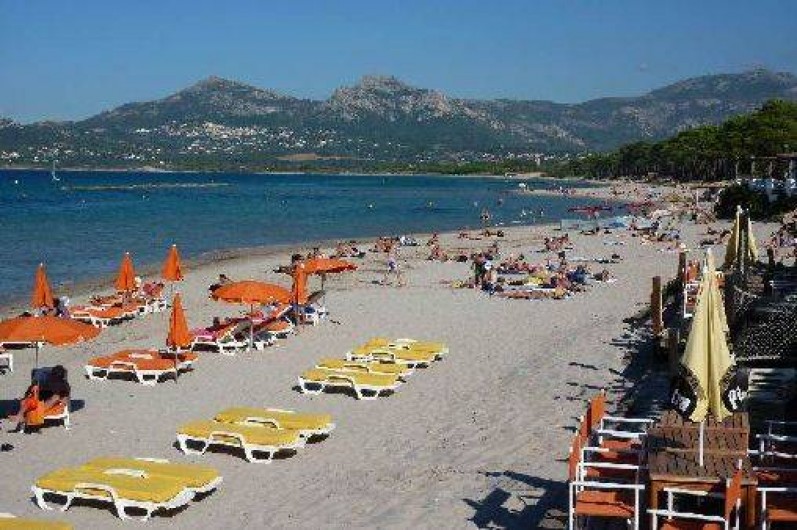 Location de vacances - Appartement à Calvi