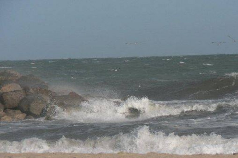Location de vacances - Villa à Frontignan - Vue mer de la crique 8
