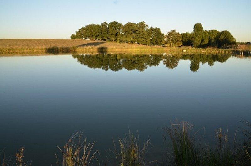 Location de vacances - Chambre d'hôtes à Saint-Avit-Sénieur - Étang situé sur la propriété