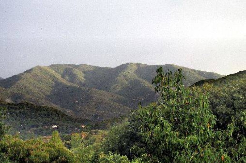 Location de vacances - Gîte à Reynes