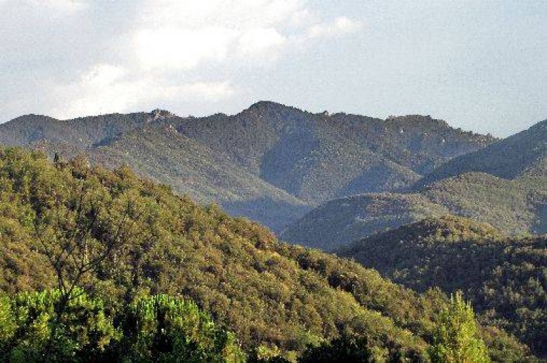 Location de vacances - Gîte à Reynes