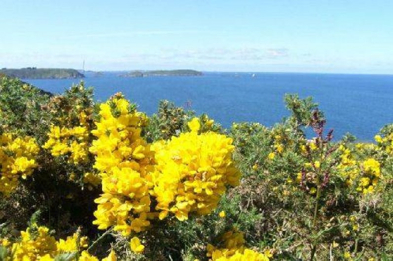 Location de vacances - Camping à Plouha