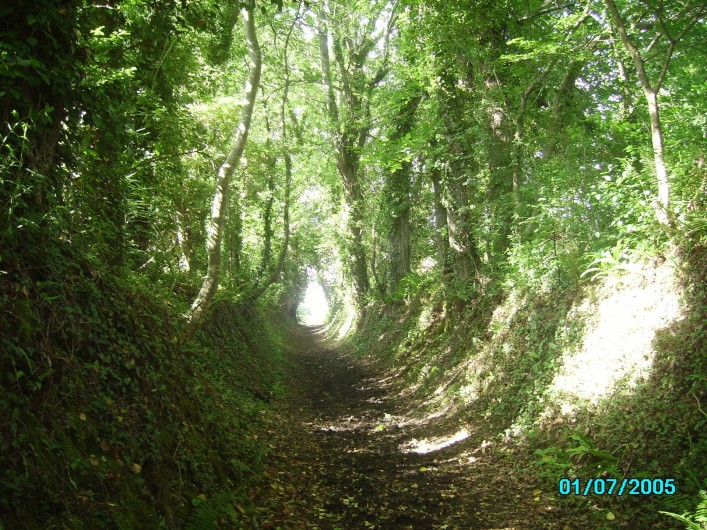 Location de vacances - Maison - Villa à Clohars-Carnoët - CHEMIN CREUX APRES LA RUE MENANT A LA COTE