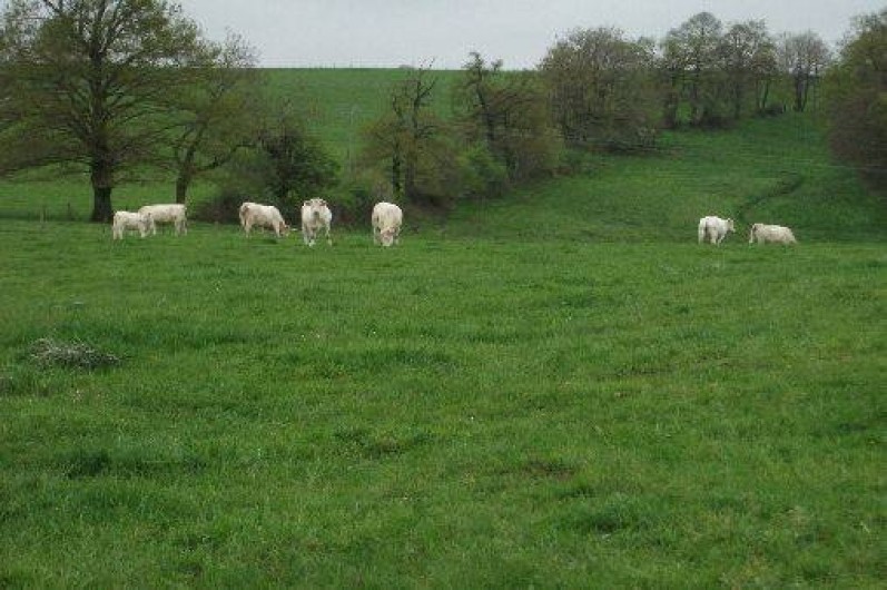 Location de vacances - Gîte à Andelaroche