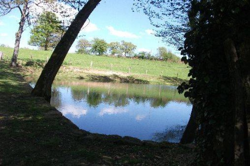 Location de vacances - Gîte à Andelaroche