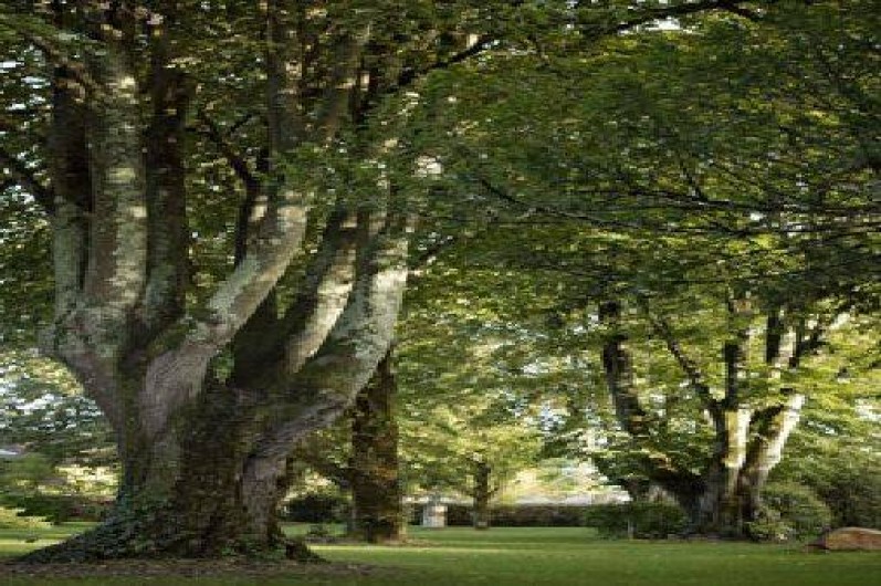 Location de vacances - Maison - Villa à Prayssac